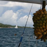 Seychellen-Konti-3417.jpg